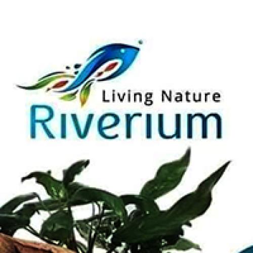 RIVERIUM