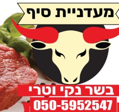 %D7%9E%D7%A2%D7%93%D7%A0%D7%99%D7%99%D7%AA%20%D7%A1%D7%99%D7%A3