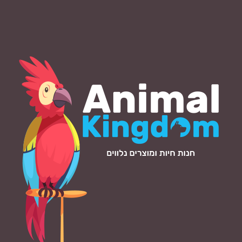 animal%20kingdom