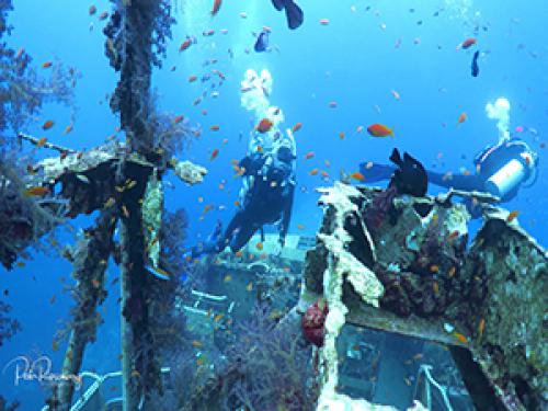 PALMA DIVING מועדון צלילה