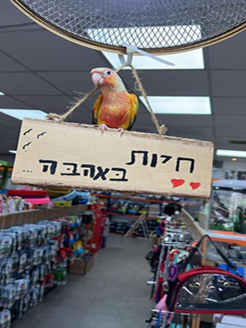 חיות באהבה