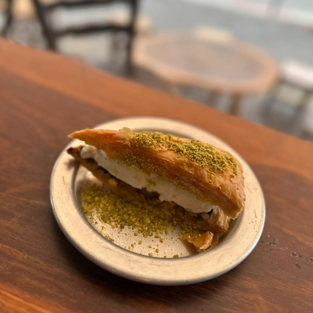 כנאפה תלפיות