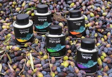 משק אחיה