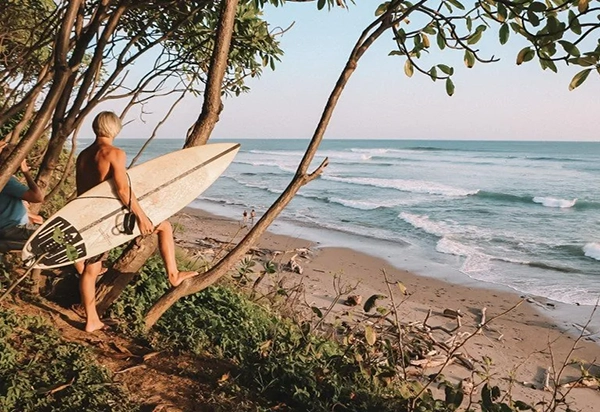 Puravidaisr surf