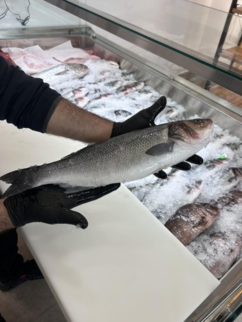 בת הדיג