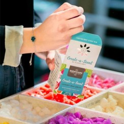 SCENT CHIPS מפיצי ריח לבית ולעסק