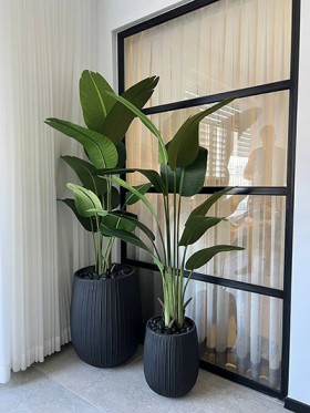 Bali tropic