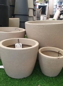 משתלת אלאמן