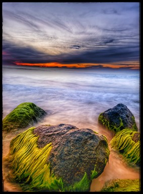 לצלם עם יאיר פוטולסקי - קורס לצילום בסמארטפון- קורס מספר 1