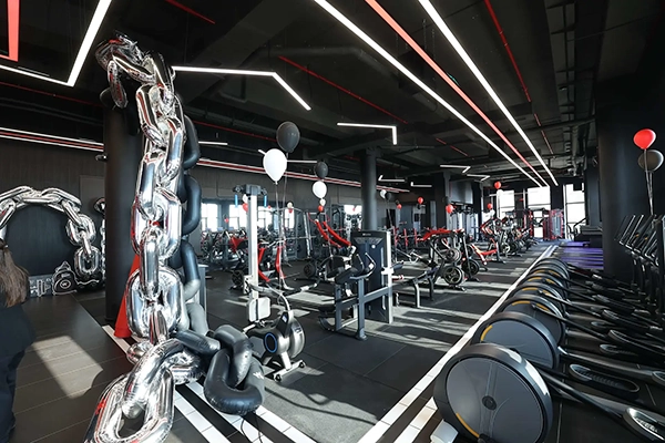 Wgym