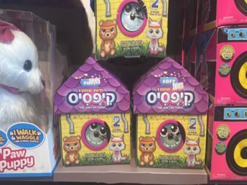 טוילנד