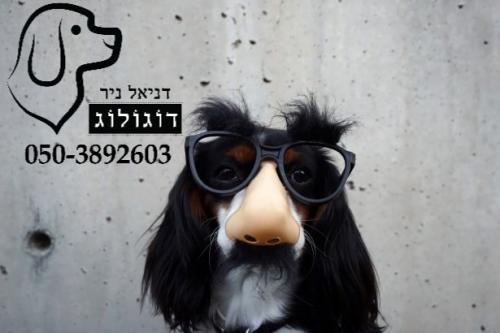 דניאל ניר דוגולוג